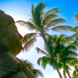 Towering Buddha