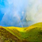 BrightRainbow in Green Field BrightRainbow in Green Field