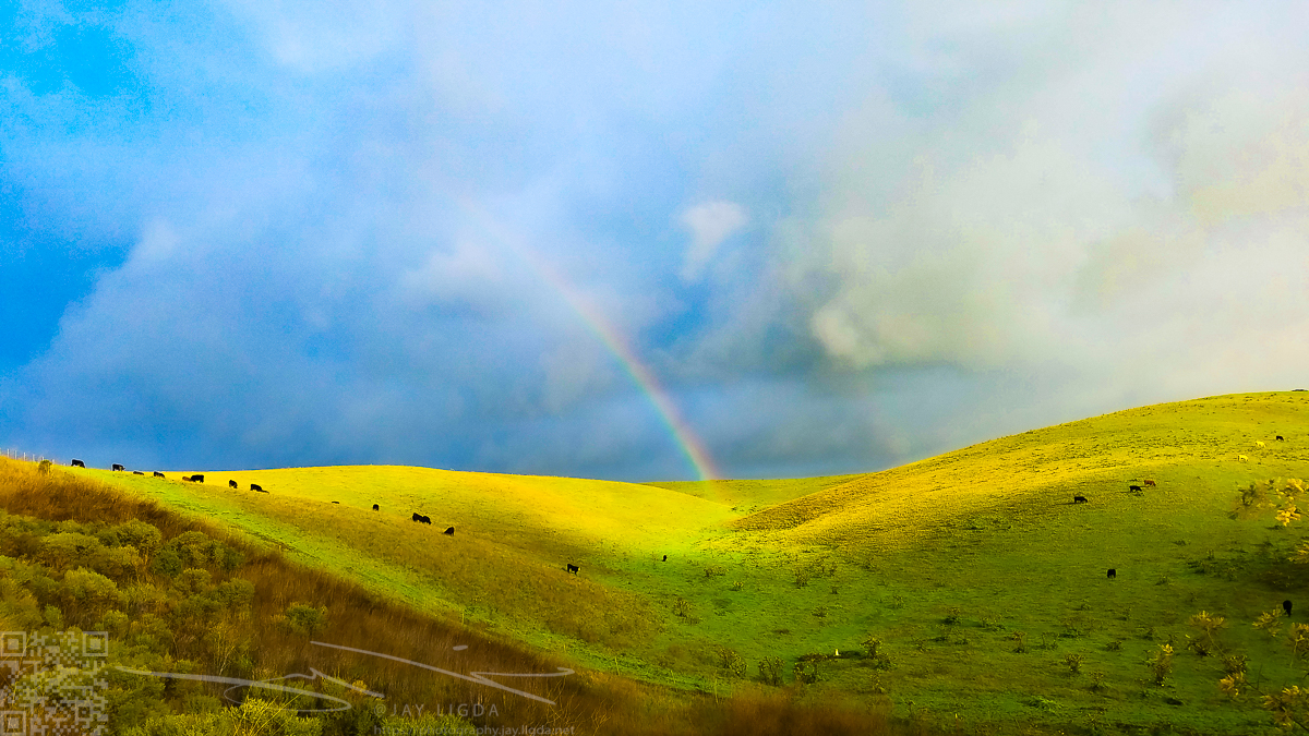 BrightRainbow in Green Field BrightRainbow in Green Field