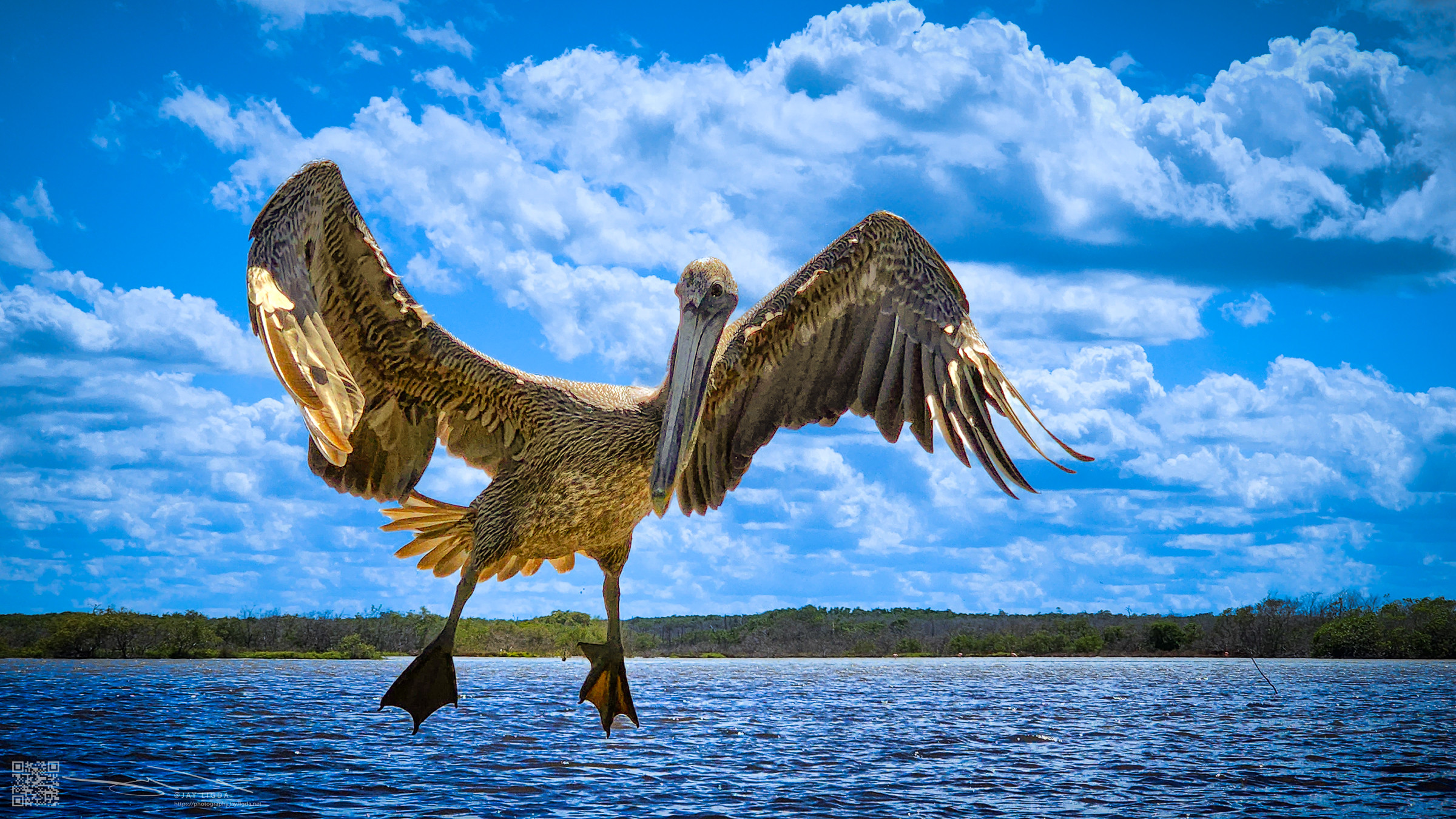 Pelican Landing