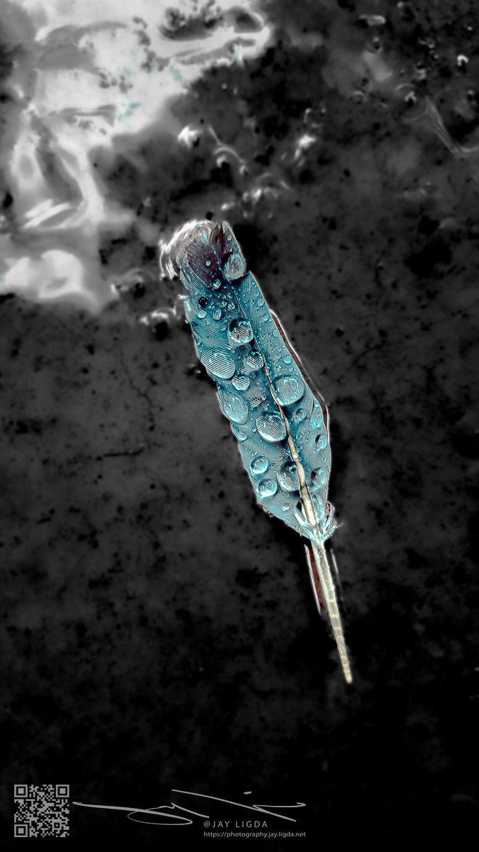 Vibrant Feather with Essence