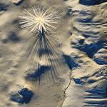 Dandelion Seed on Sand with Evening Shadow