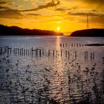 Bridge Sunset Golden Sky