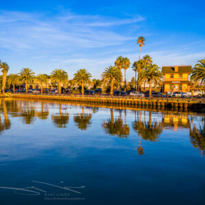 Palm Trees Reflect, Benicia Depot