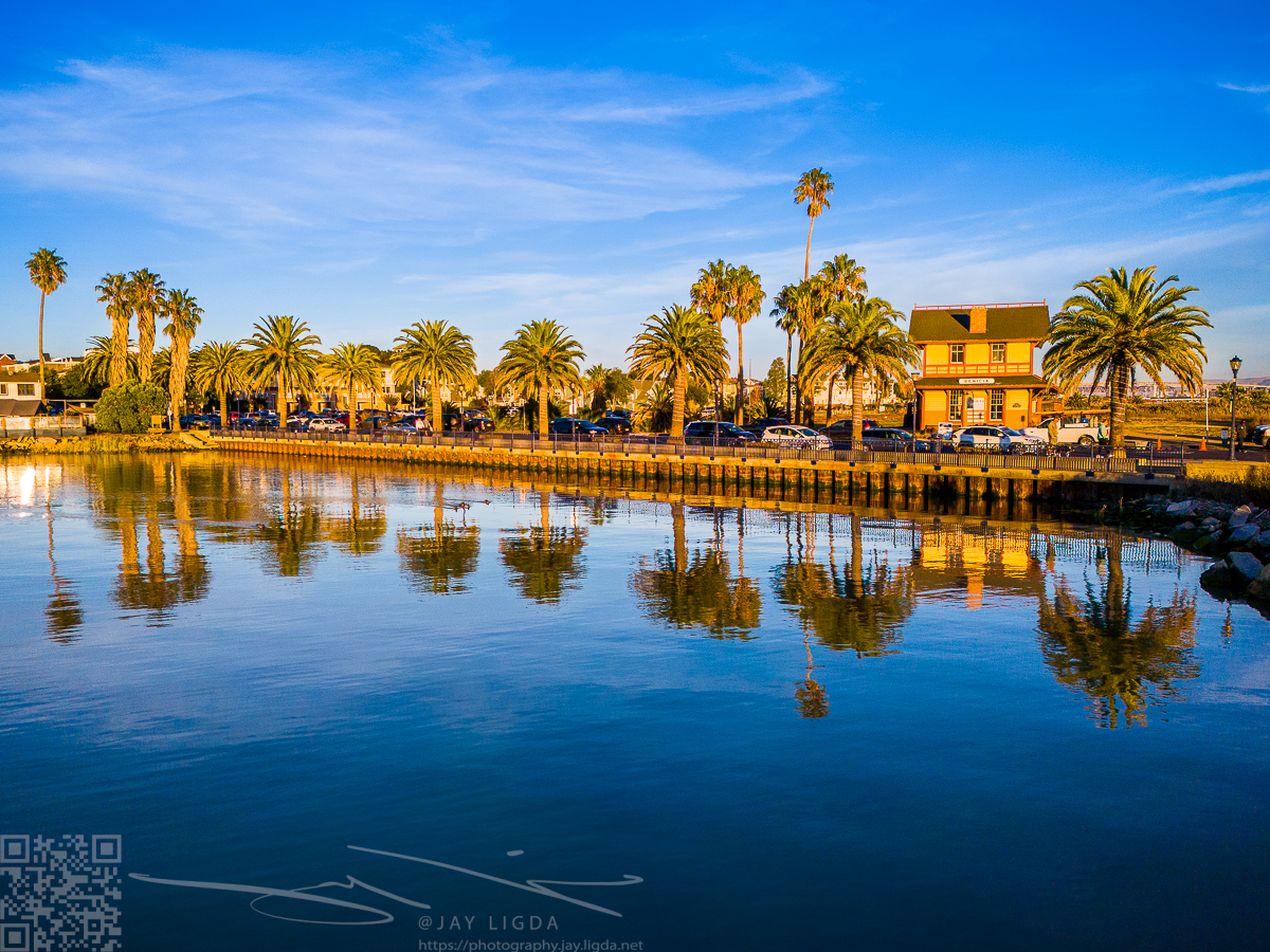 Palm Trees Reflect, Benicia Depot