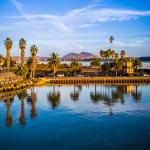 Palm Trees Reflect, Mount Diablo