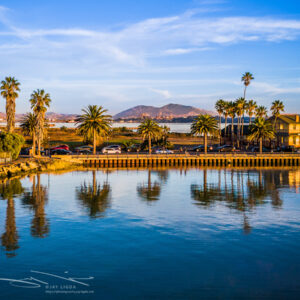 Palm Trees Reflect, Mount Diablo
