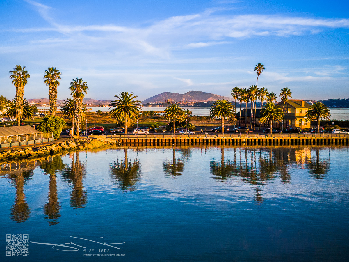 Palm Trees Reflect, Mount Diablo