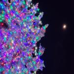 Benicia Christmas Tree and then Moon Benicia Christmas Tree and then Moon