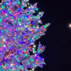 Benicia Christmas Tree and then Moon