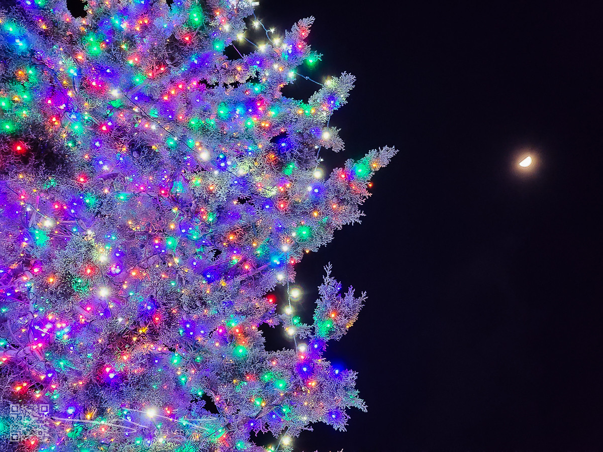 Benicia Christmas Tree and then Moon Benicia Christmas Tree and then Moon