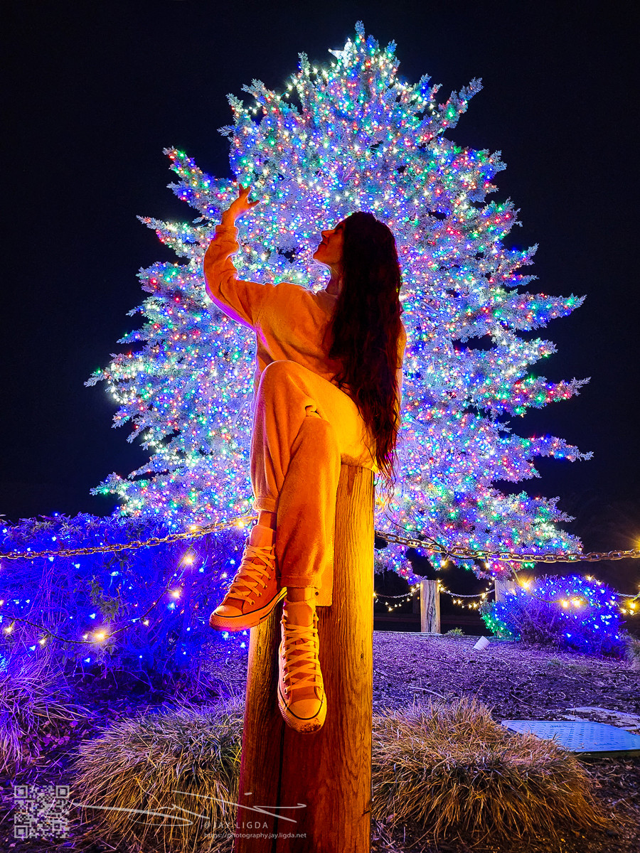 Christmas Angel in Front of the Lighted Tree Christmas Angel in Front of the Lighted Tree