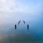 Old Piers to Nowhere