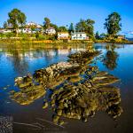Evening Light on Sandbar and Houses