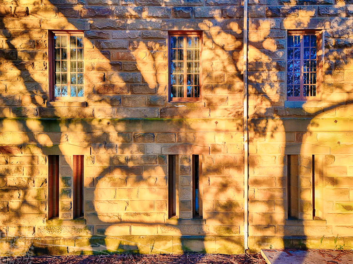 Tree Shadows on Clocktower