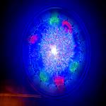 Top Down Christmas Tree Lights Top Down Christmas Tree Lights