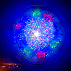 Top Down Christmas Tree Lights