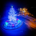 Benicia Christmas Tree and Pier Benicia Christmas Tree and Pier