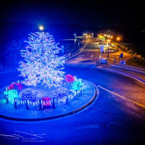 Benicia Christmas Tree and Pier