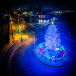 Benicia Christmas Tree and Depot Benicia Christmas Tree and Depot