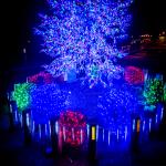 Close Up of Benicia Christmas Tree and Presents Close Up of Benicia Christmas Tree and Presents