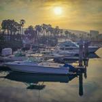 Rising Sun Glows Over Marina