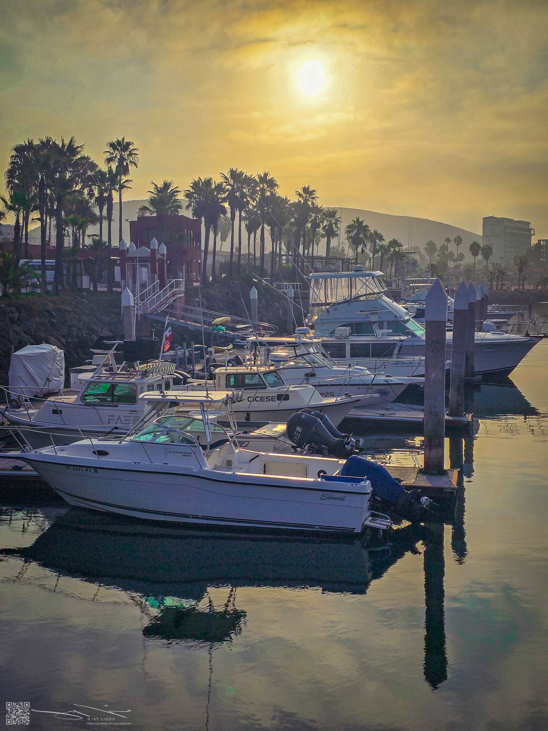 Rising Sun Glows Over Marina