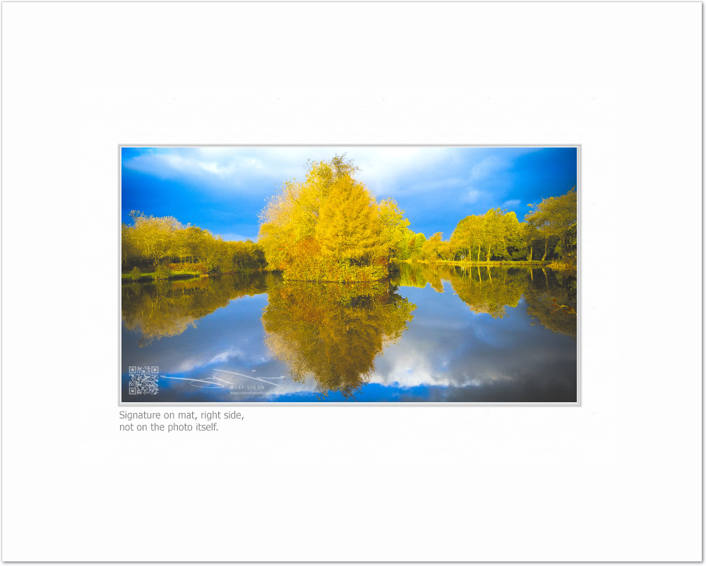 mockup-1465-041609L-BW-blank_mat