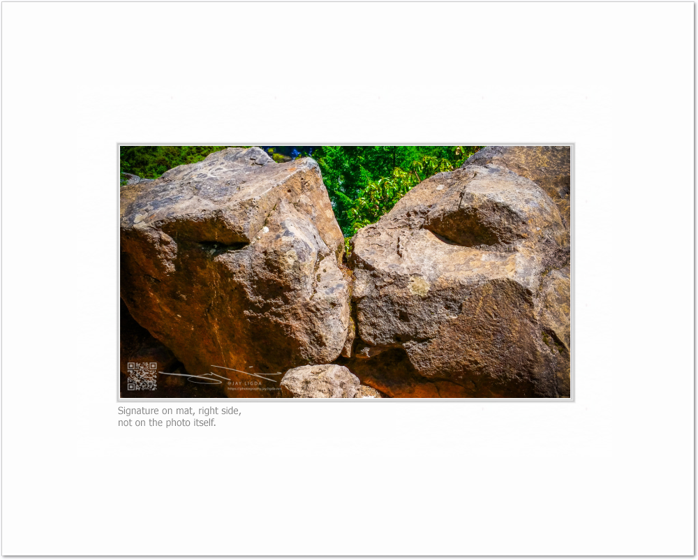 mockup-1467-041609L-BW-blank_mat