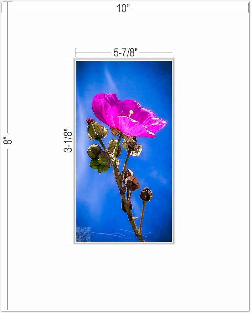 mockup-1472-021609P-BW-mat_with_dimensions