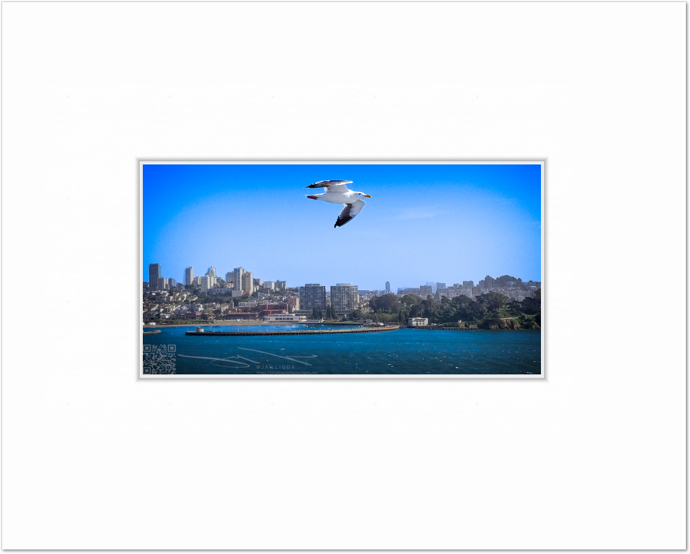 mockup-1508-021609L-BW-blank_mat