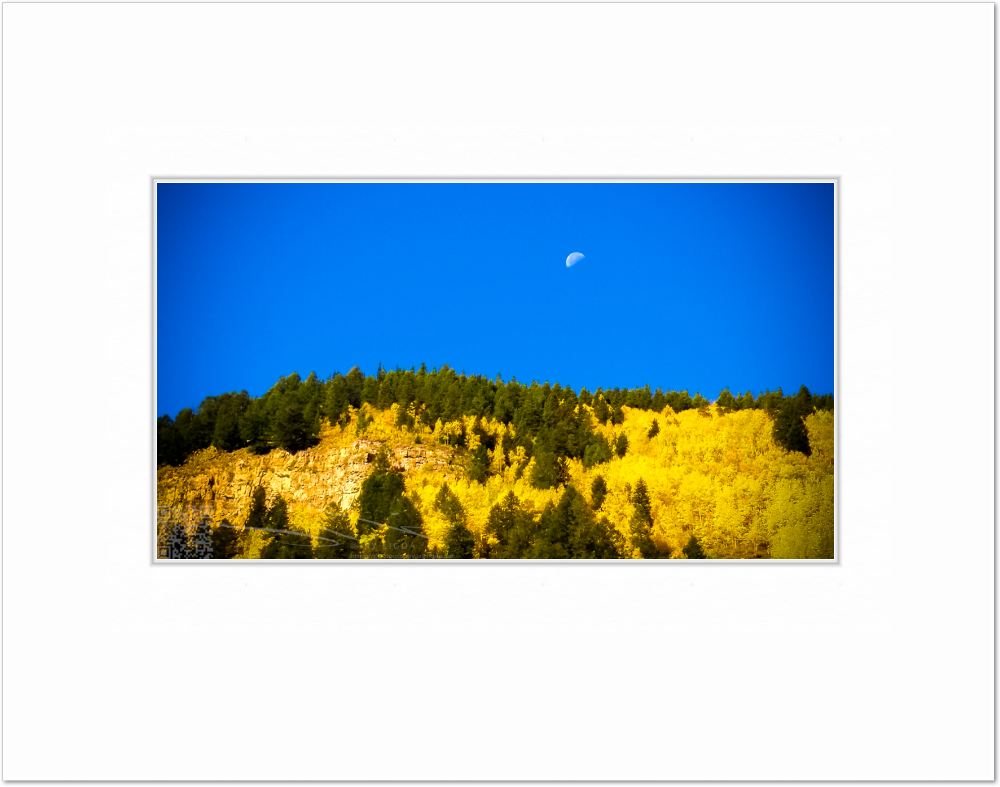 mockup-1540-031609L-BW-blank_mat