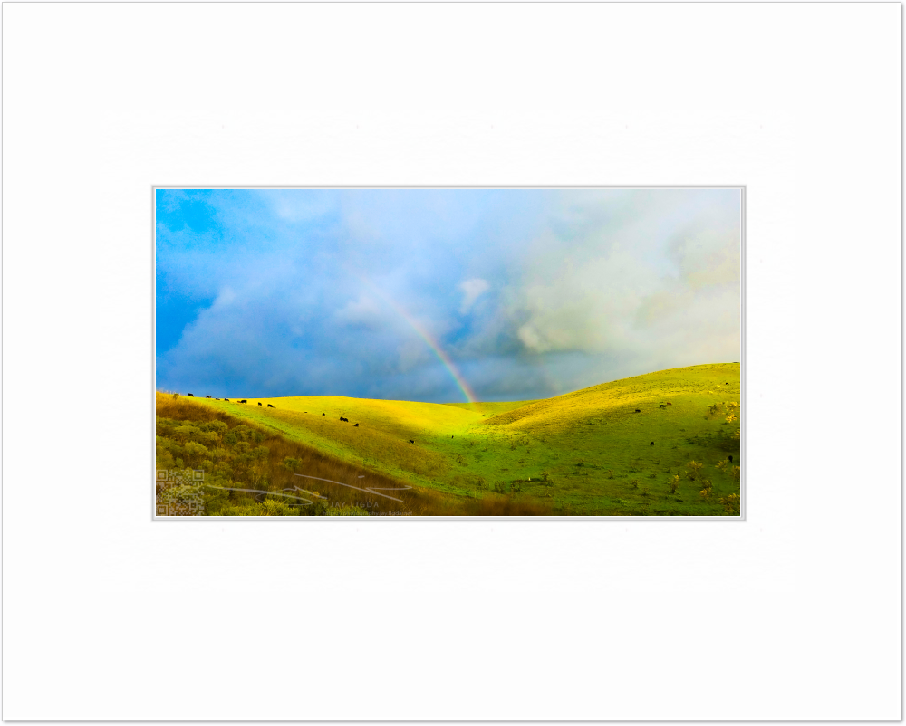 mockup-1541-041609L-BW-blank_mat