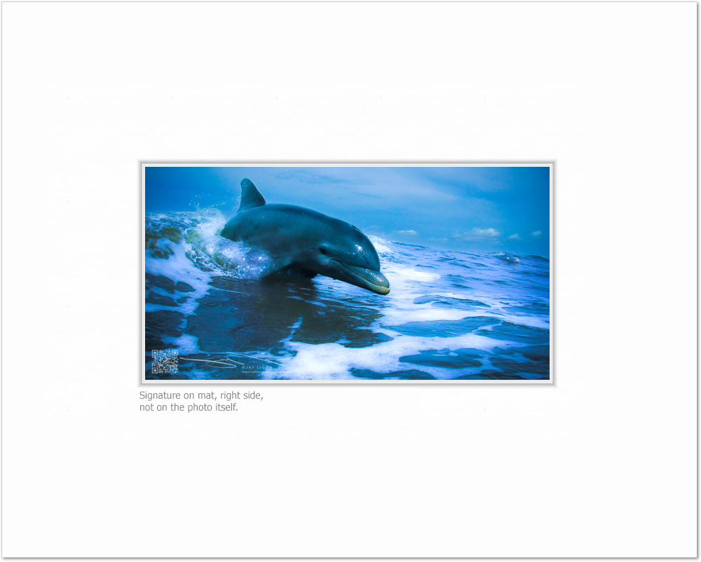 mockup-1542-021609L-BW-blank_mat