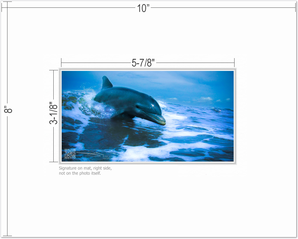 mockup-1542-021609L-BW-mat_with_dimensions