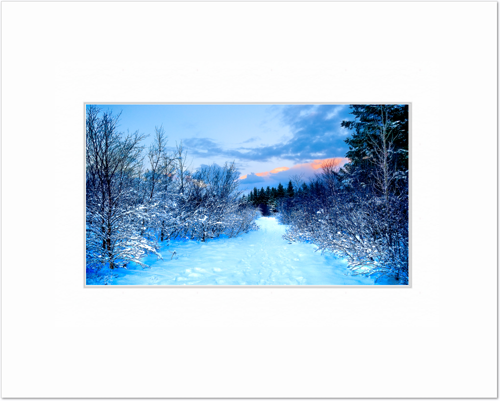 mockup-1547-041609L-BW-blank_mat