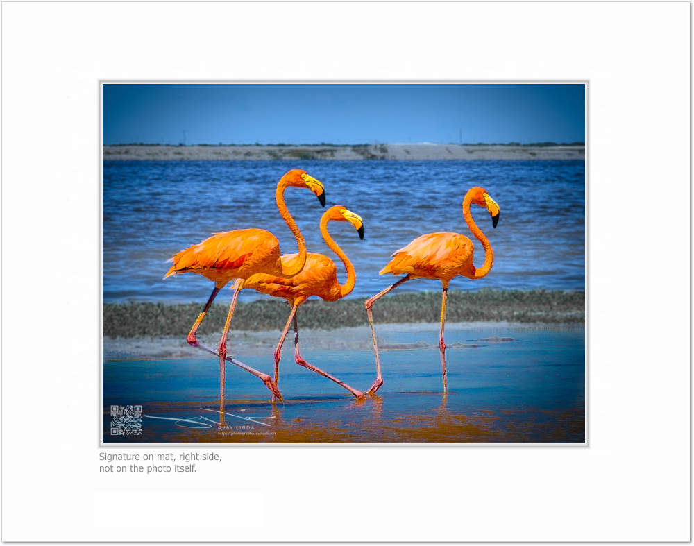 mockup-1589-030403L-BW-blank_mat