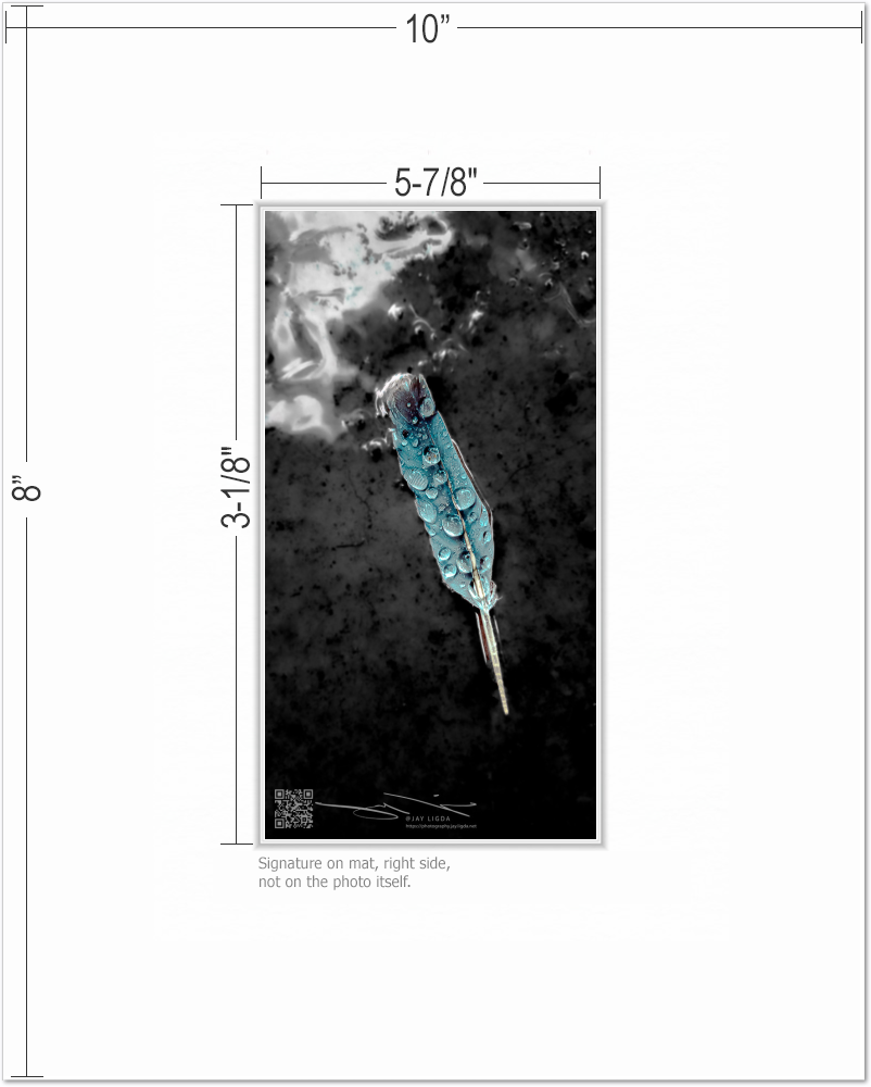 mockup-1629-021609P-BW-mat_with_dimensions