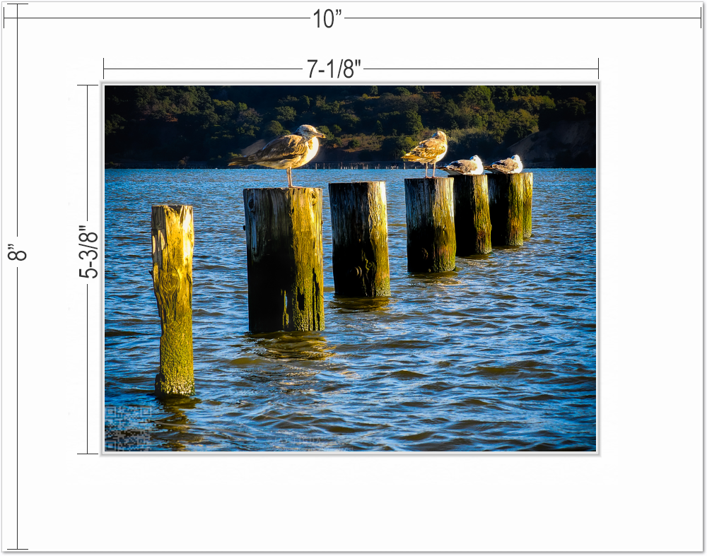 mockup-1652-030403L-BW-mat_with_dimensions