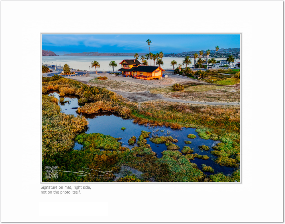 mockup-1726-030403L-BW-blank_mat