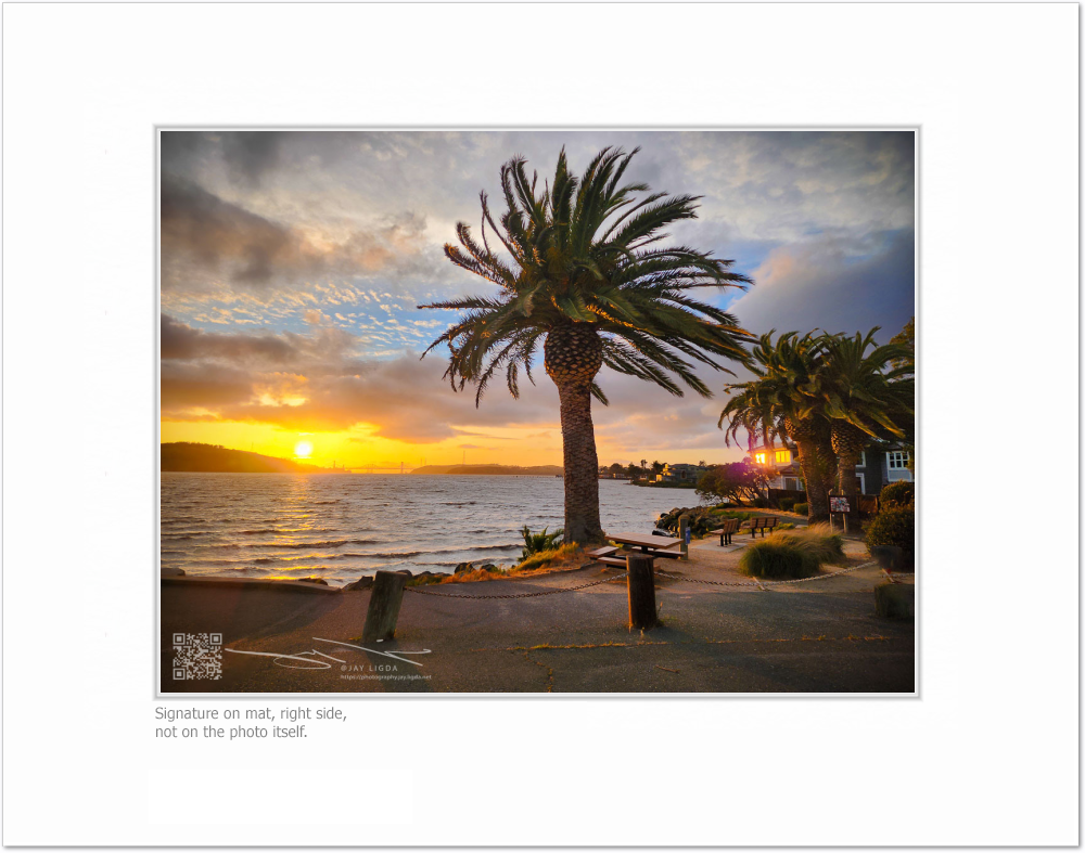 mockup-1921-030403L-BW-blank_mat