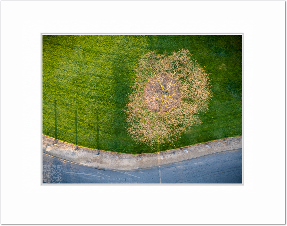 mockup-1964-030403L-BW-blank_mat