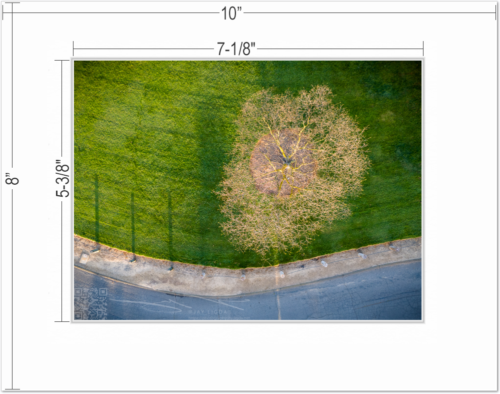 mockup-1964-030403L-BW-mat_with_dimensions