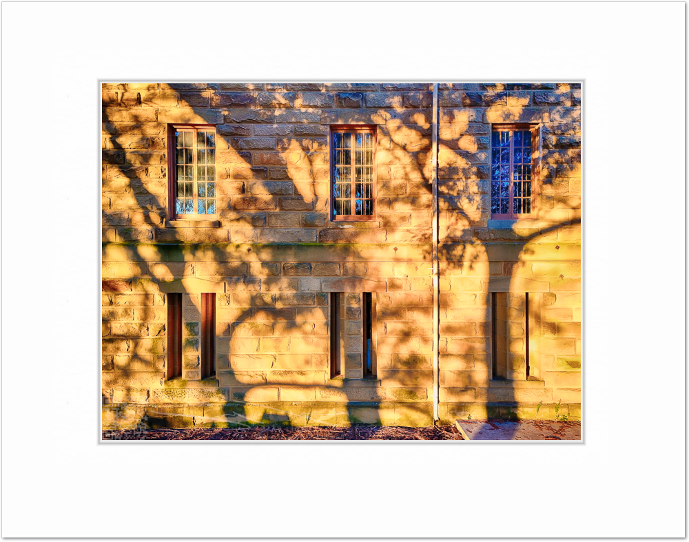 mockup-2115-030403L-BW-blank_mat