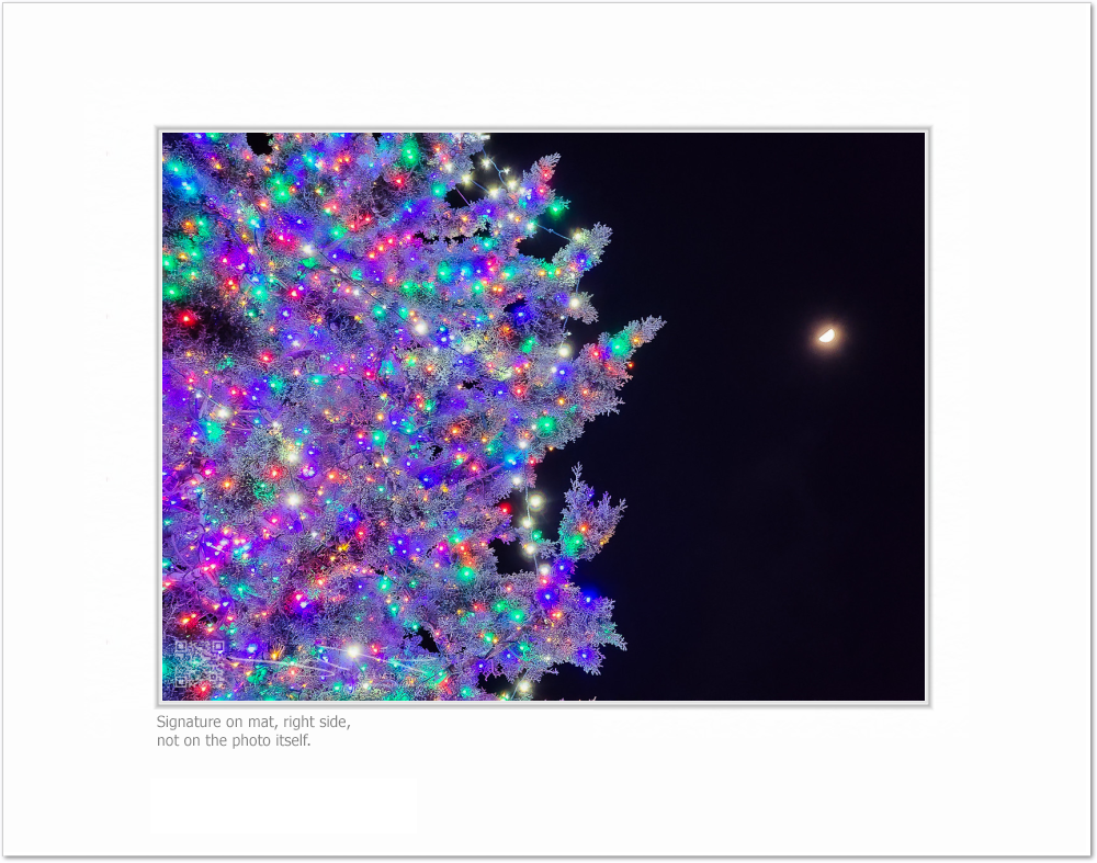 mockup-4629-030403L-BW-blank_mat