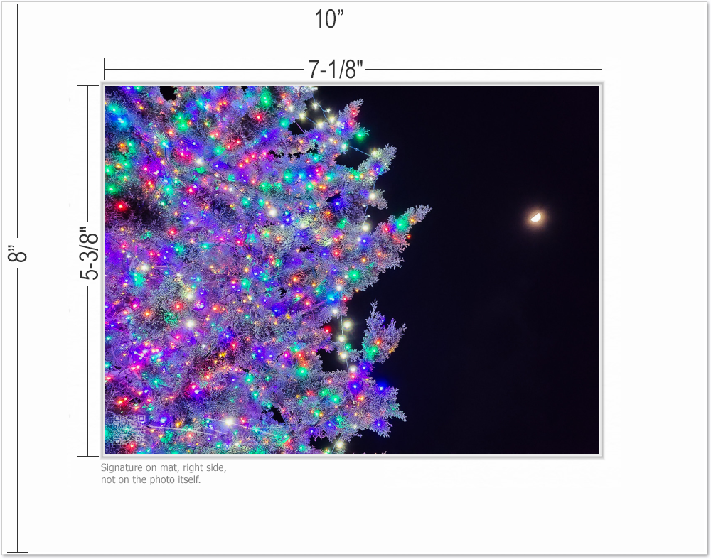 mockup-4629-030403L-BW-mat_with_dimensions