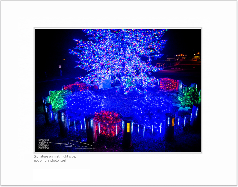 mockup-4666-030403L-BW-blank_mat