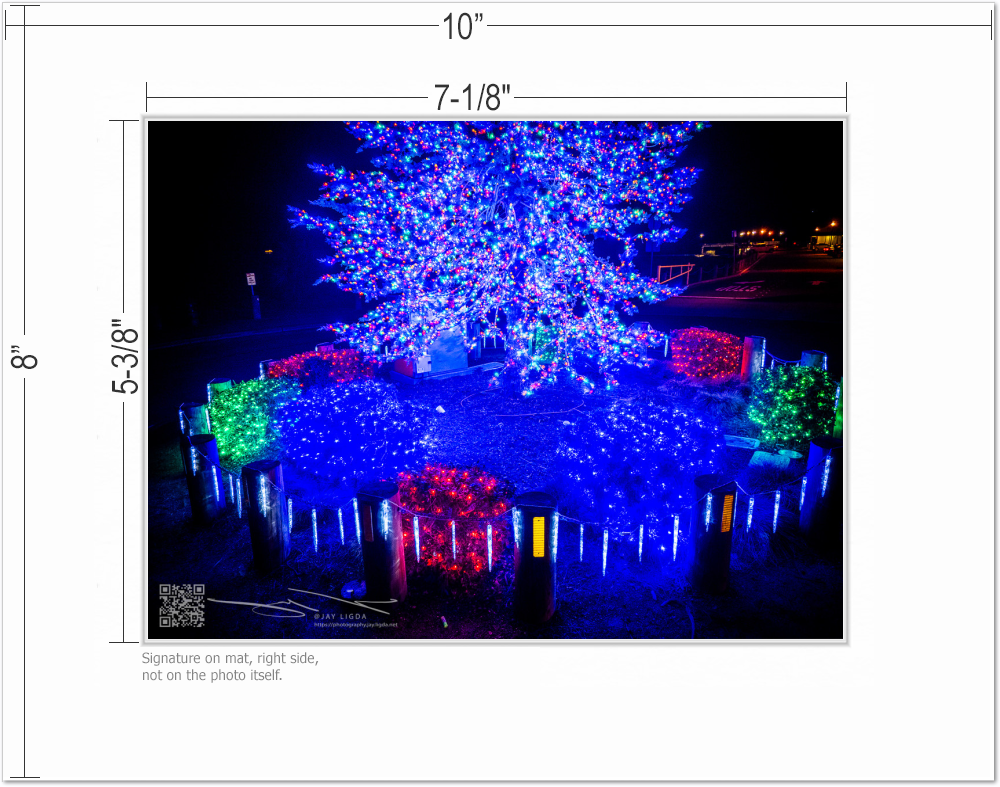 mockup-4666-030403L-BW-mat_with_dimensions